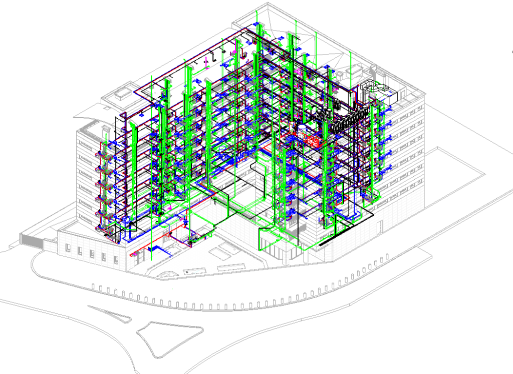 Intervista a Bimportale